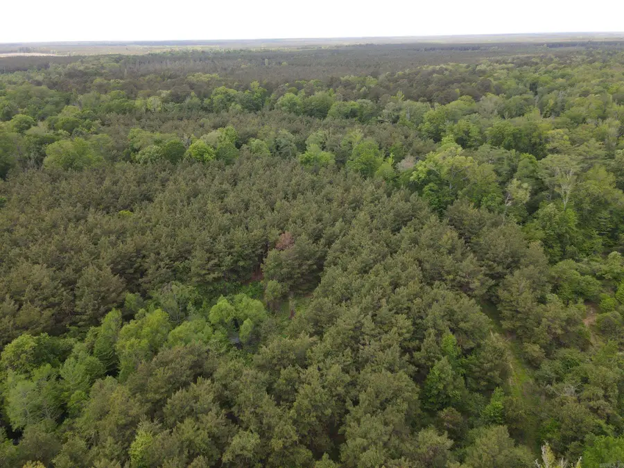 Address Withheld By Seller, Hamburg, AR 71646 - #2