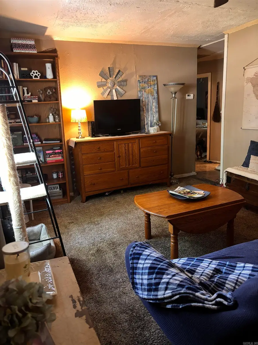 Address Withheld By Seller, Hot Springs National Park, AR 71913 - #2