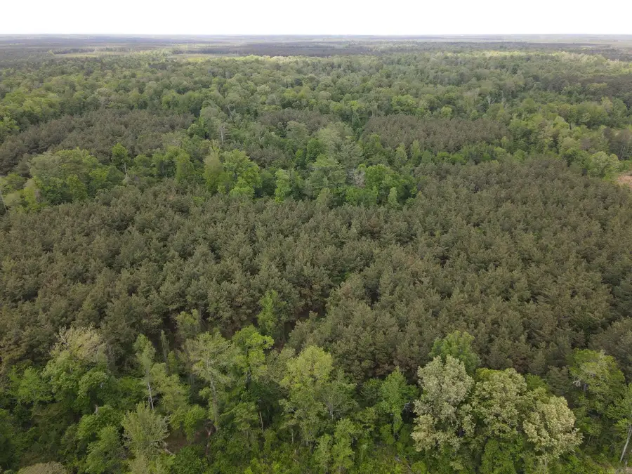 Address Withheld By Seller, Hamburg, AR 71646 - #2