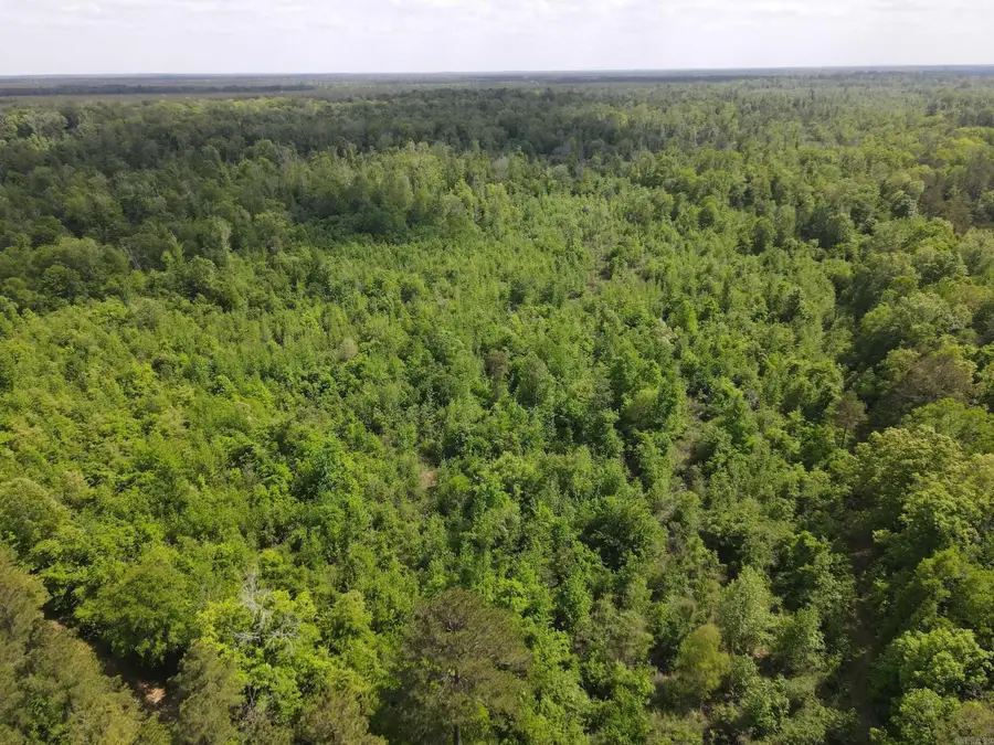 Address Withheld By Seller, Hamburg, AR 71646 - #2