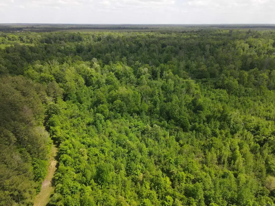 Address Withheld By Seller, Hamburg, AR 71646 - #3