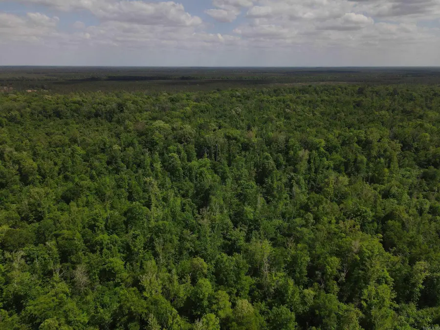 Address Withheld By Seller, Hamburg, AR 71646 - #2