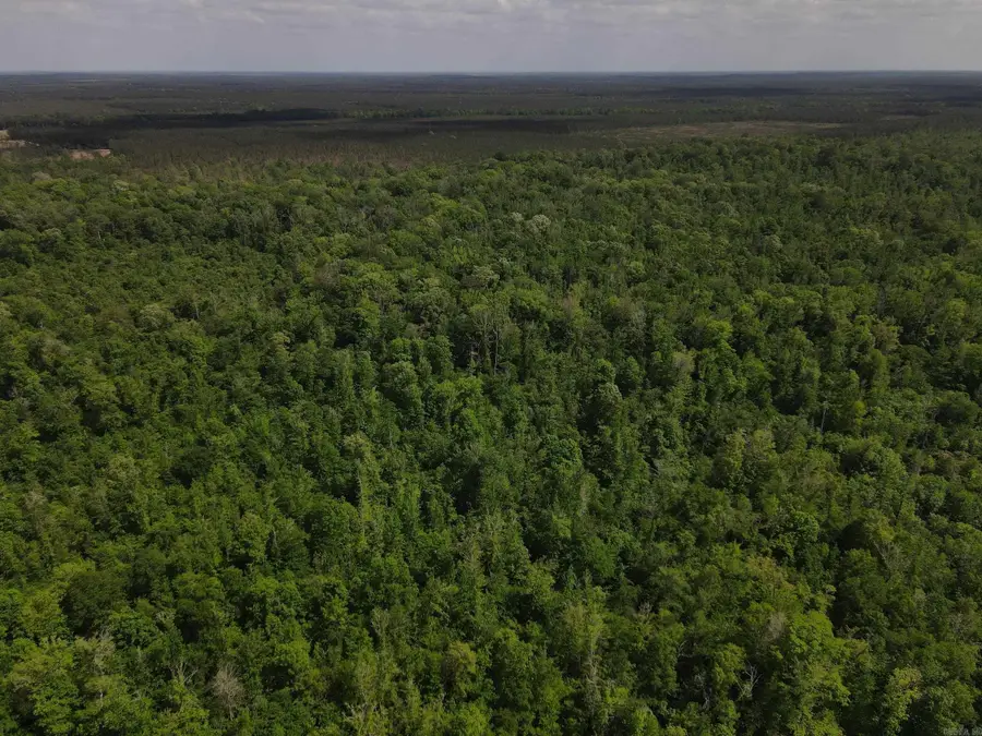 Address Withheld By Seller, Hamburg, AR 71646 - #3