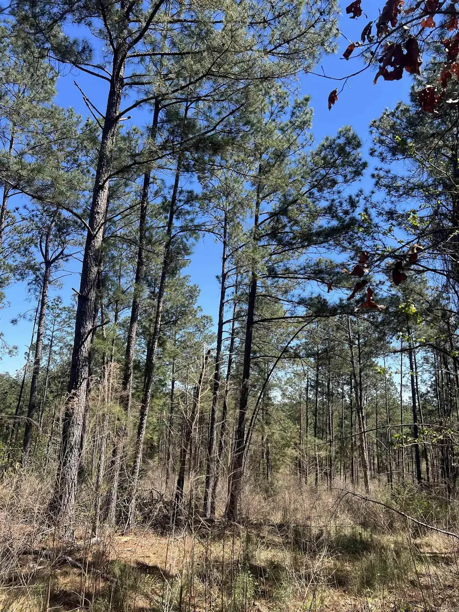 11-13-19 Ouachita Cr 183, Chidester, AR 71726 - #2