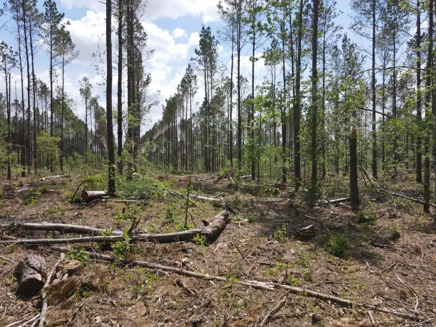 Address Withheld By Seller, Hamburg, AR 71646 - #2