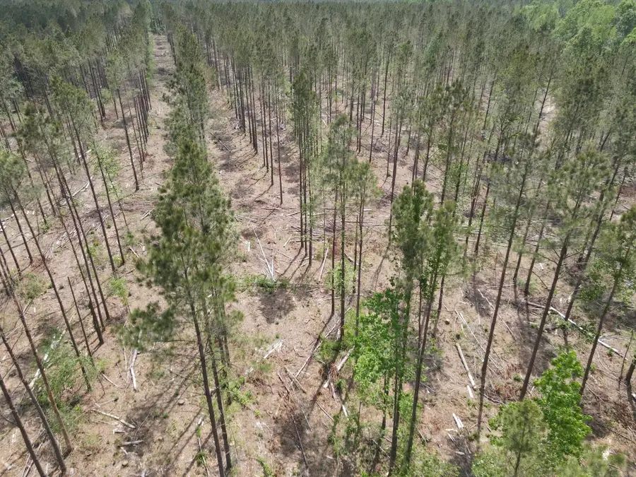 Address Withheld By Seller, Hamburg, AR 71646 - #3