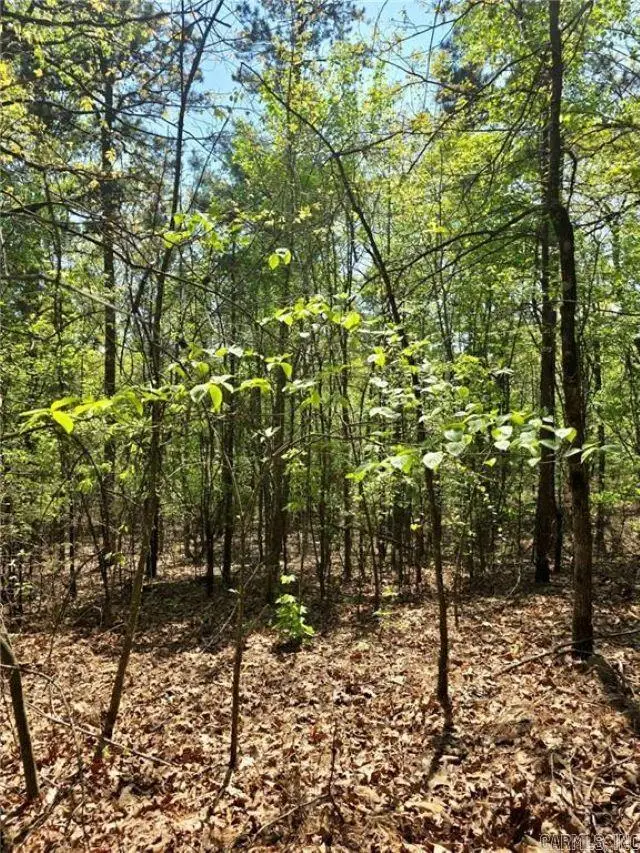 Fsr 1471, Clarksville, AR 72830 - #1