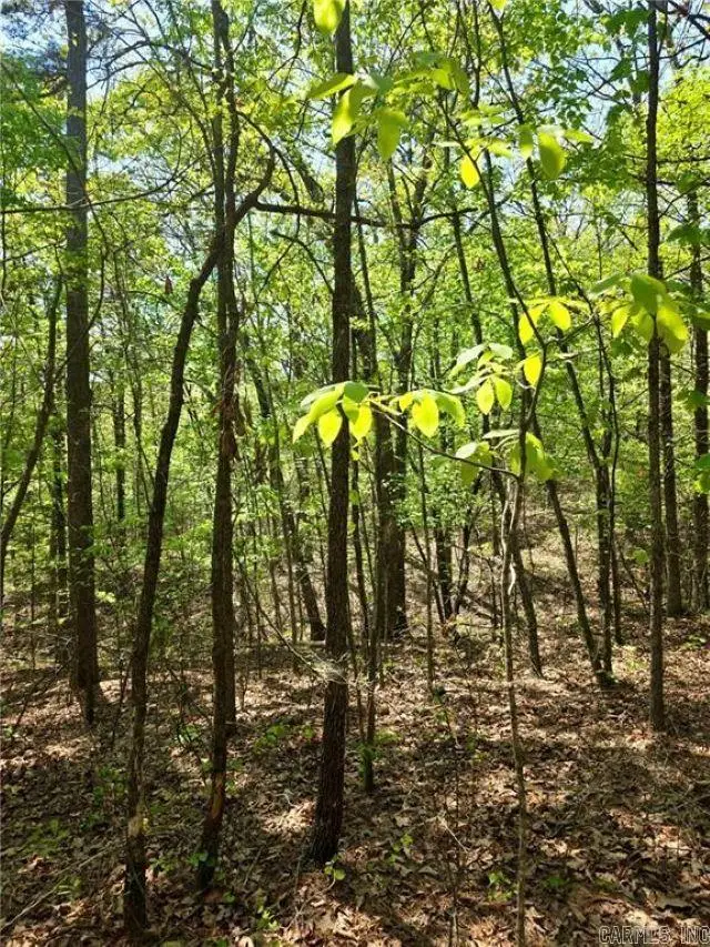 Fsr 1471, Clarksville, AR 72830 - #2