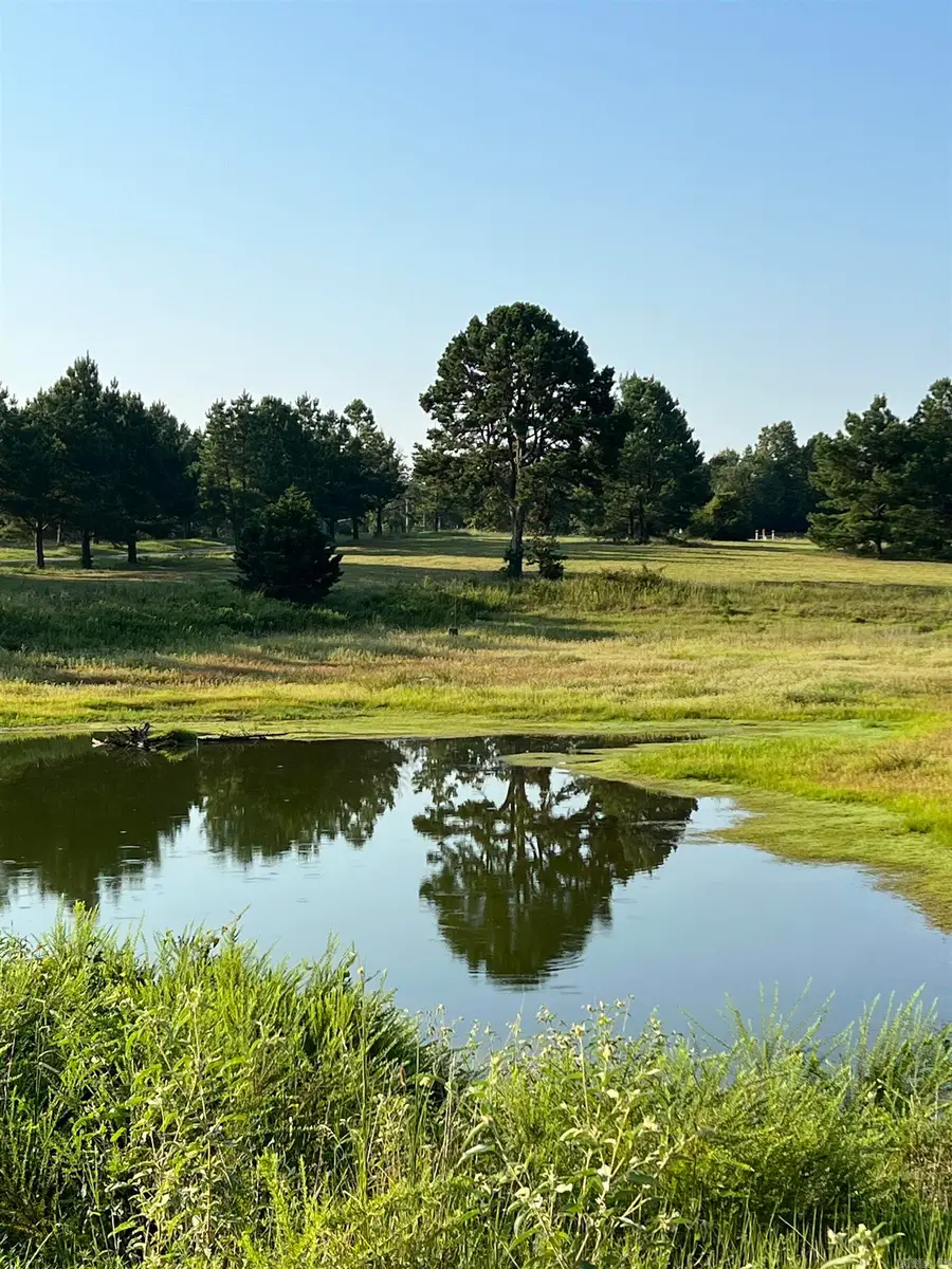 207 Spring Road, Searcy, AR 72143 - #2