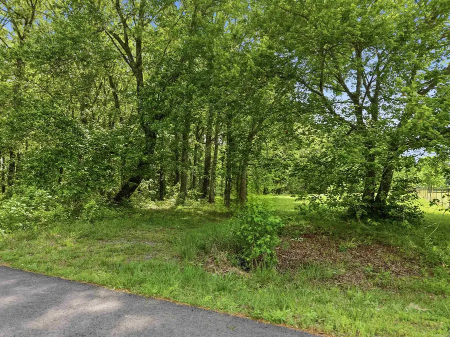 18 Deerfield Lane, Vilonia, AR 72173 - #3