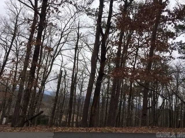 2 Medina Way, Hot Springs Village, AR 71909 - #1