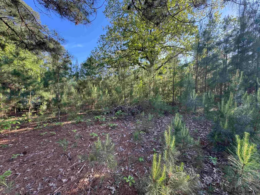 129 Ouachita 502, Camden, AR 71701 - #3