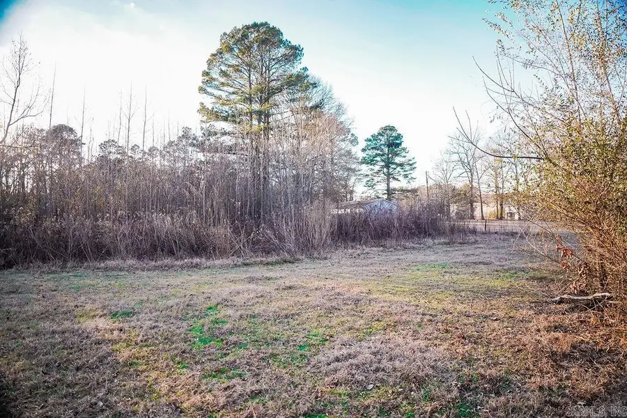 4202 Ryburn Road, Pine Bluff, AR 71603 - #3