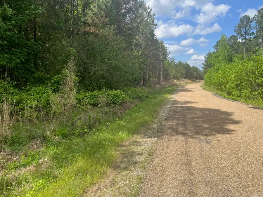 Address Withheld By Seller, Hot Springs, AR 71901 - #3