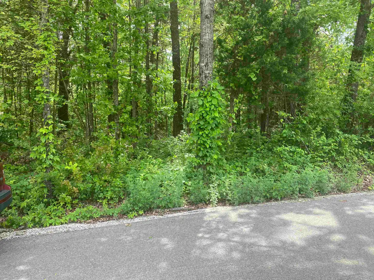 144 Elm Street, Pineville, AR 72566 - #1