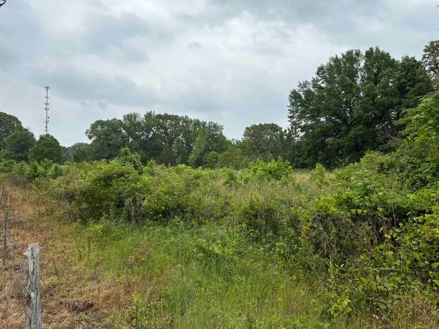 00 Pickthorne Road, Cabot, AR 72023 - #2