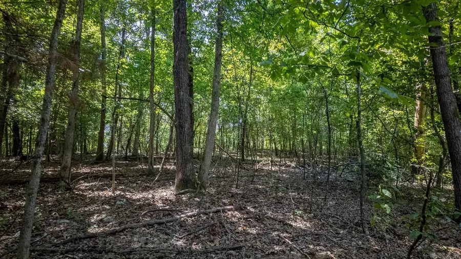 Lots 13 & 14 Riverbend Road, Mammoth Spring, AR 72554 - #3
