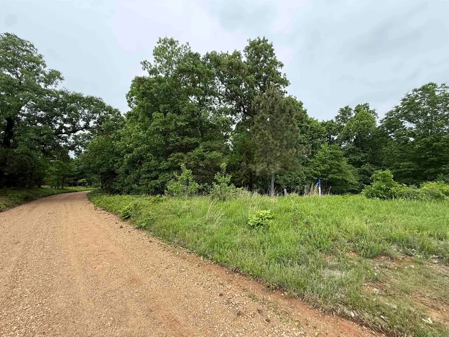 197 County 426 Road, Rector, AR 72461 - #2