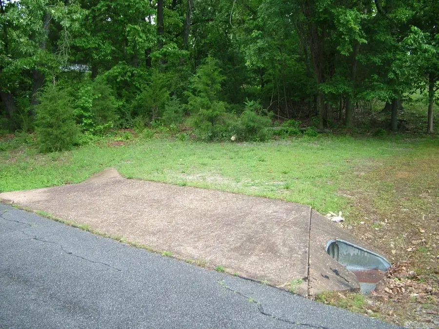 Lot 8 Franklin Avenue, Mountain Home, AR 72653 - #2
