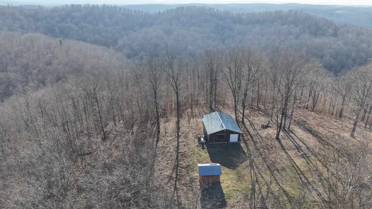 115A Greasy Bottom Road, Melbourne, AR 72556 - #1