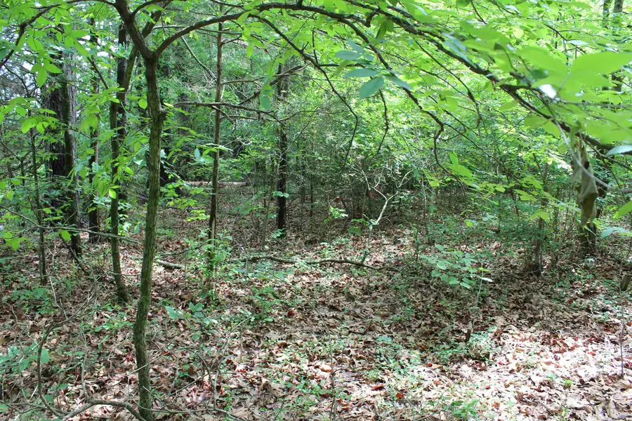 Address Withheld By Seller, Dardanelle, AR 72834 - #2