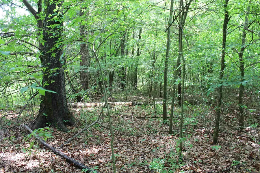 Address Withheld By Seller, Dardanelle, AR 72834 - #3