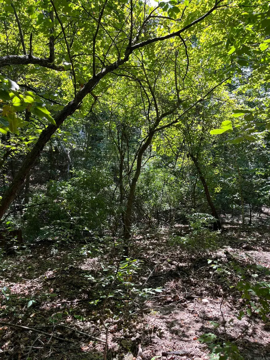 Lt 23,24,25 Sycamore Tree Lane, Grover, AR 72653 - #2