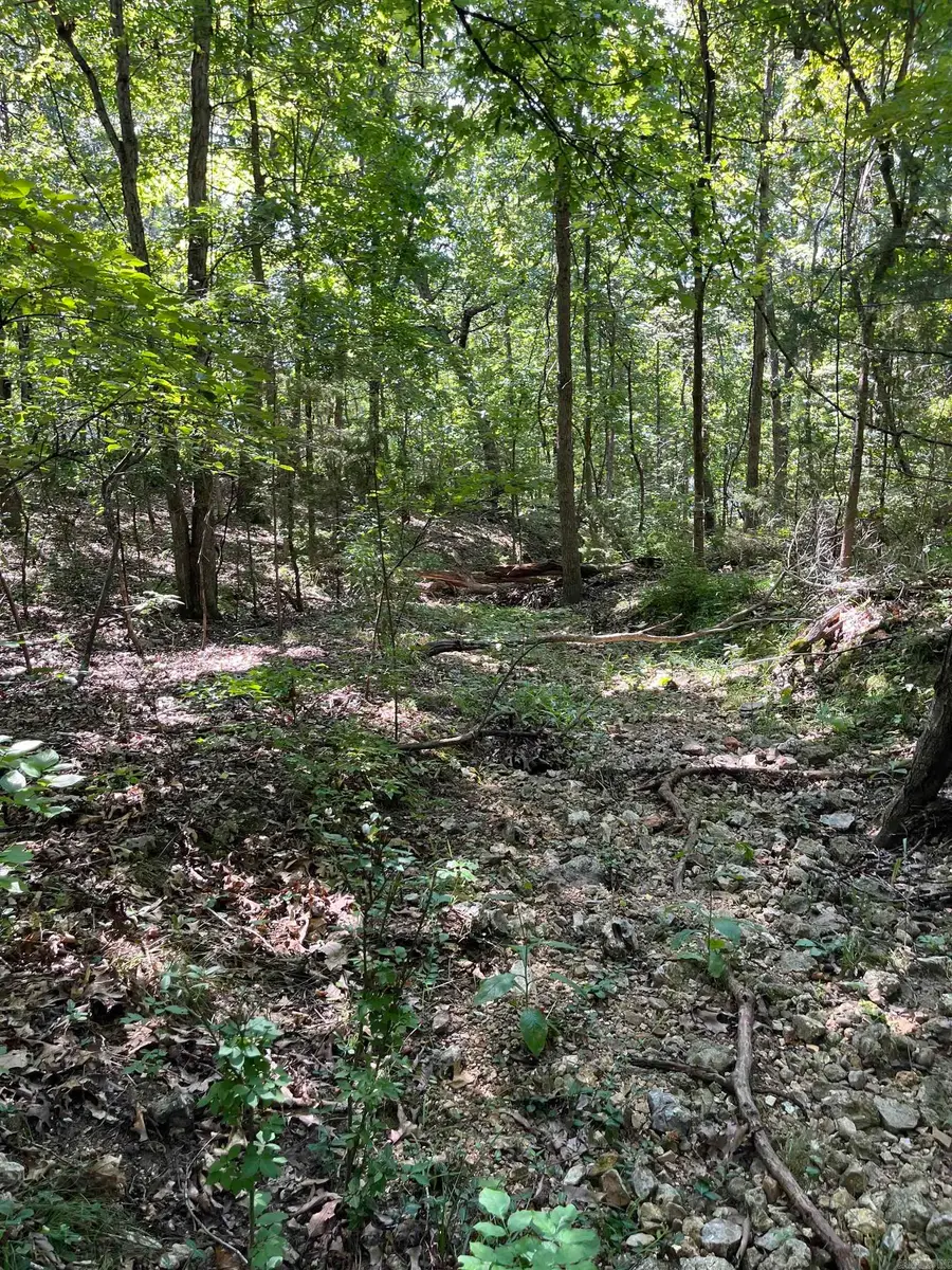 Lt 23,24,25 Sycamore Tree Lane, Grover, AR 72653 - #3