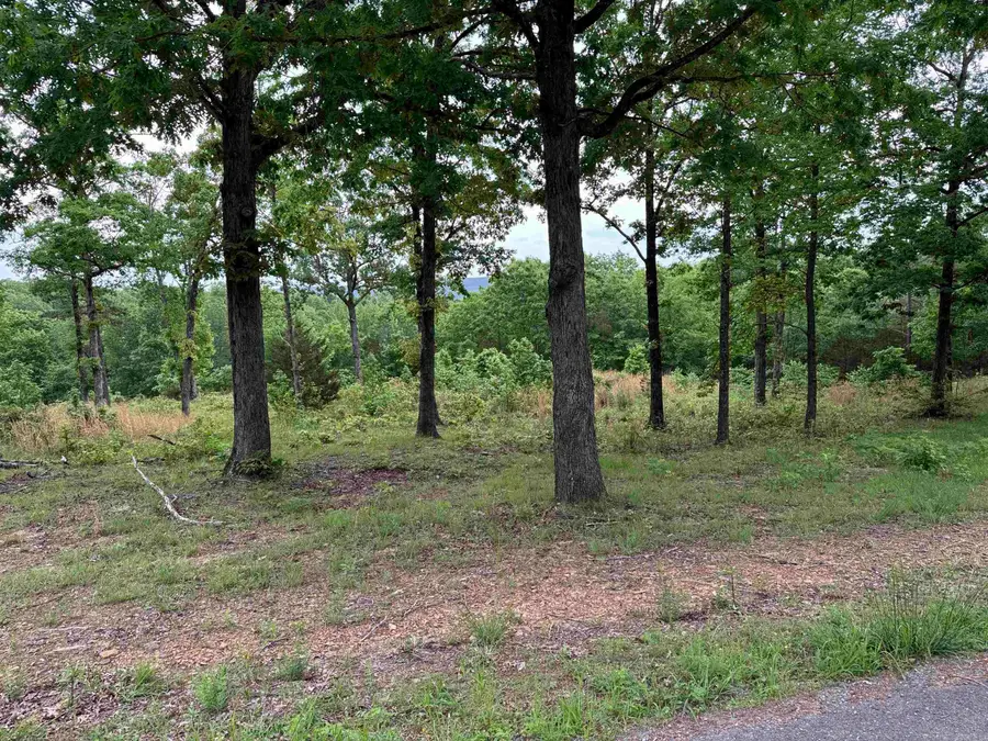 TRACT 2 Waters Edge Drive, Edgemont, AR 72044 - #2