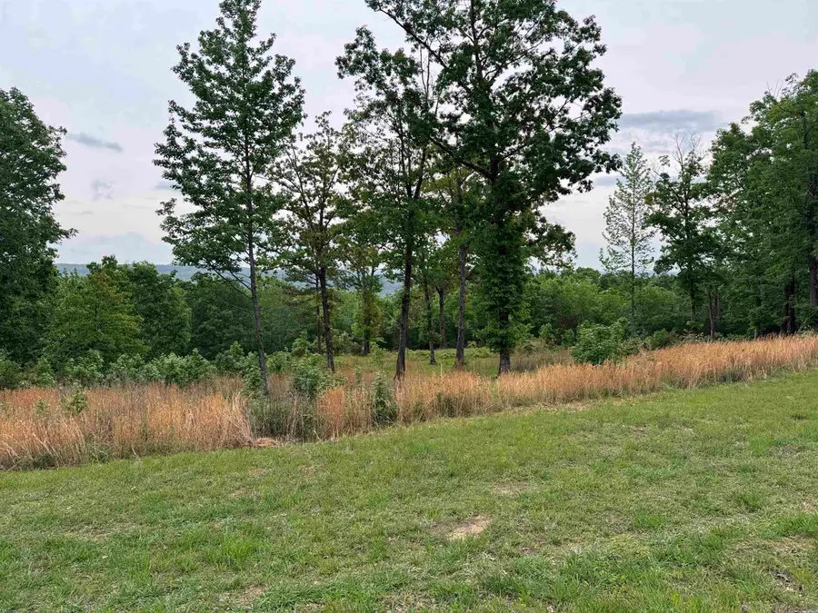 TRACT 2 Waters Edge Drive, Edgemont, AR 72044 - #3