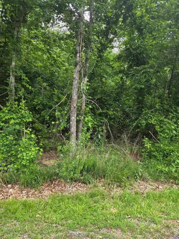 Address Withheld By Seller, Hot Springs, AR 71913