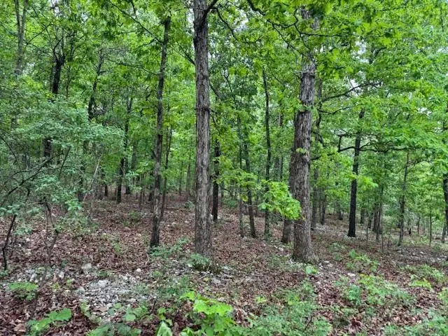 1329 Echowood Cir, Viola, AR 72583 - #1