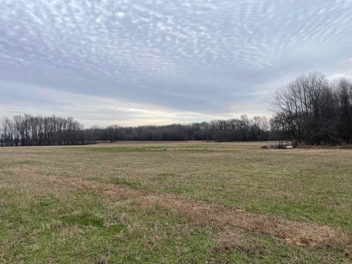 1162 Goff Road, Quitman, AR 72131 - #1