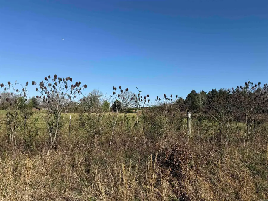 1285 Goff Road, Quitman, AR 72131 - #2