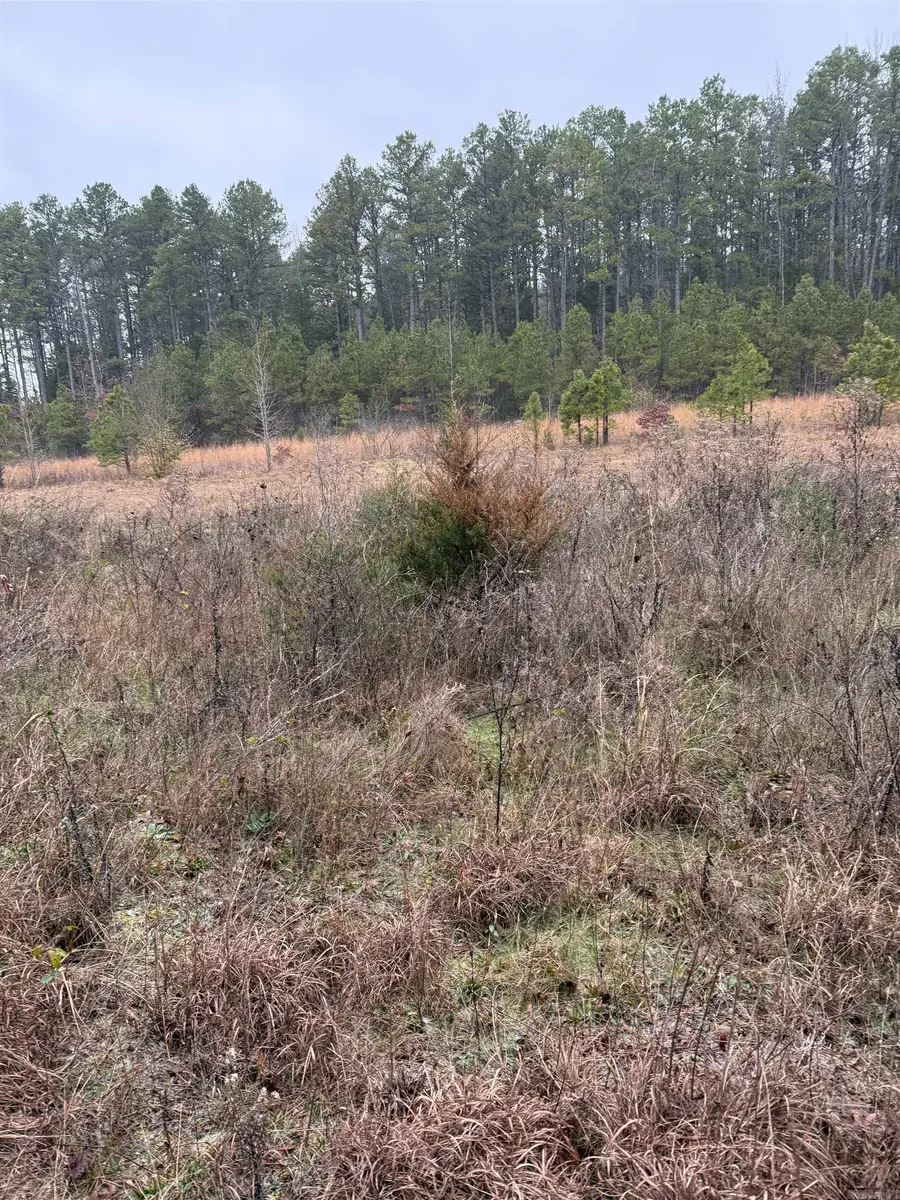 1285 Goff Road, Quitman, AR 72131 - #3