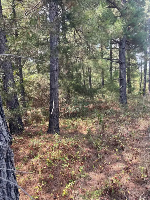 000 lot 23 Griffin Farm Road Road, Quitman, AR 72131