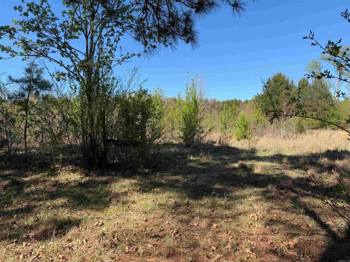 213 Primose Lane, Judsonia, AR 72081 - #1