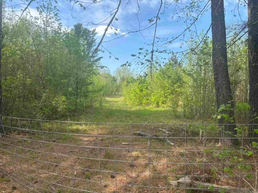 213 Primose Lane, Judsonia, AR 72081 - #2