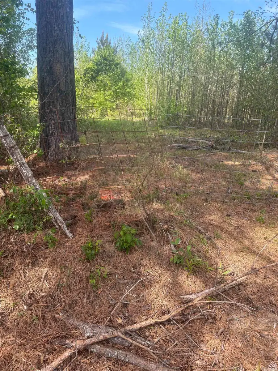 213 Primose Lane, Judsonia, AR 72081 - #3