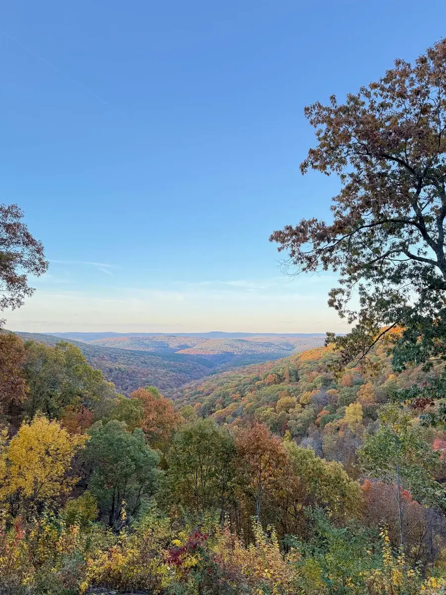 5800 White Oak Mountain Road, Hector, AR 72843 - #2