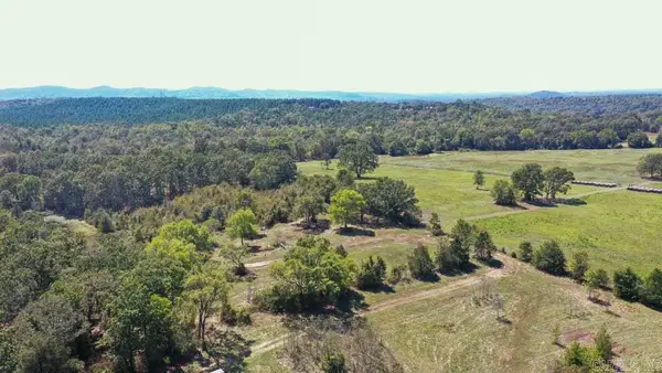 TBD Stoney Point, Odem, AR 71961