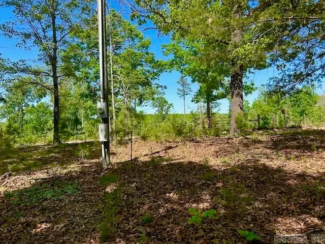 1250 Fry Road, Harriet, AR 72639 - #2