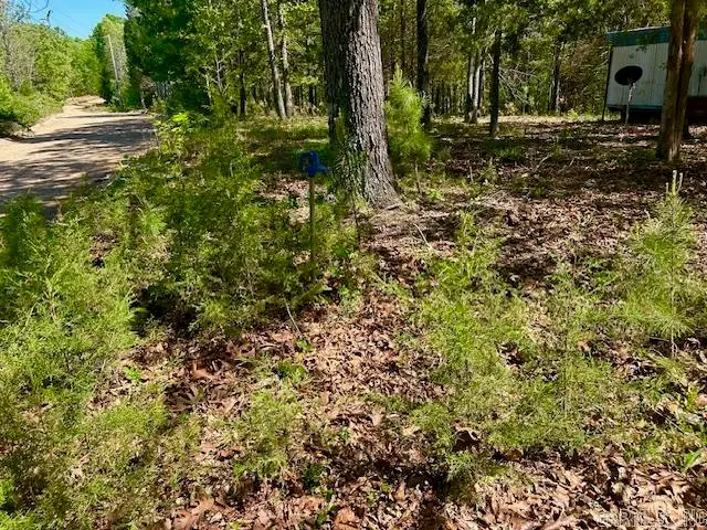 1250 Fry Road, Harriet, AR 72639 - #3