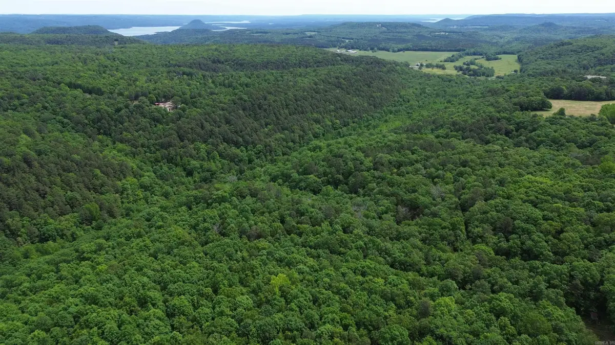 000 East Mountain Road, Bee Branch, AR 72013 - #1