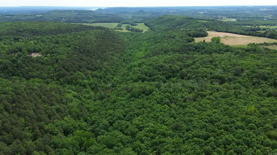 000 East Mountain Road, Bee Branch, AR 72013 - #2