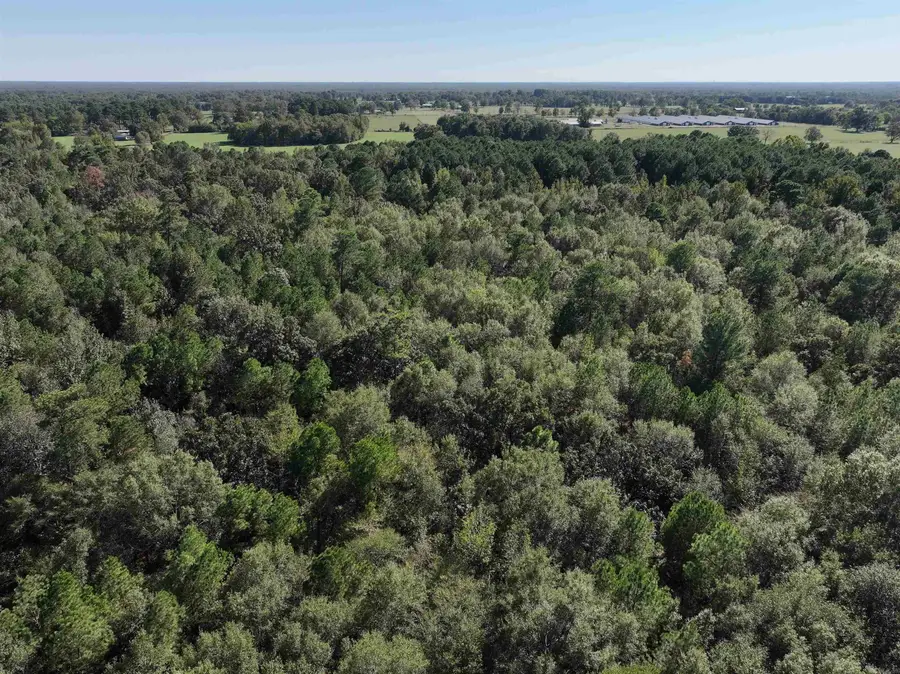 XXX Central Road, Horatio, AR 71842 - #2