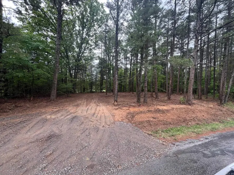 Address Withheld By Seller, Damascus, AR 72039 - #2