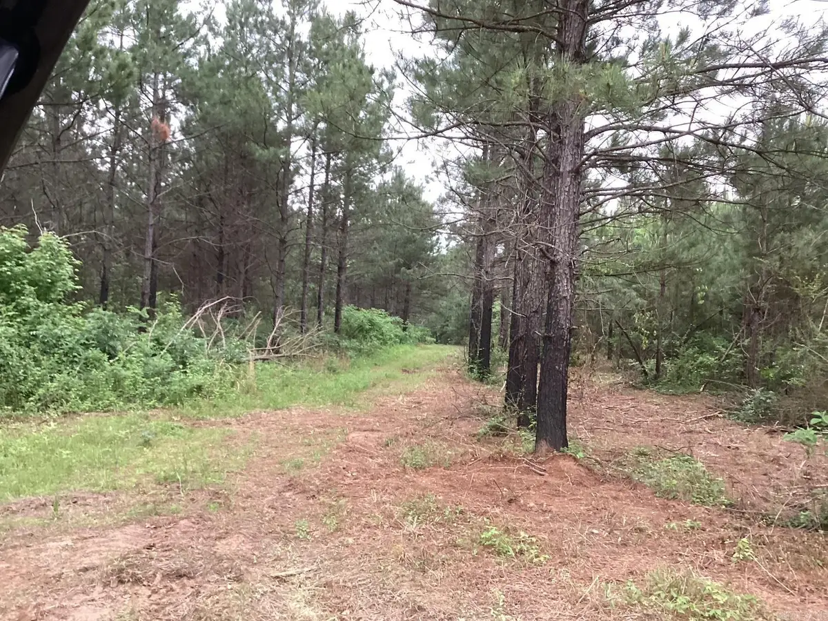 1935 Hwy 24, Prescott, AR 71857 - #1