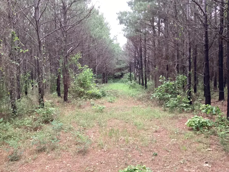 1935 Hwy 24, Prescott, AR 71857 - #2