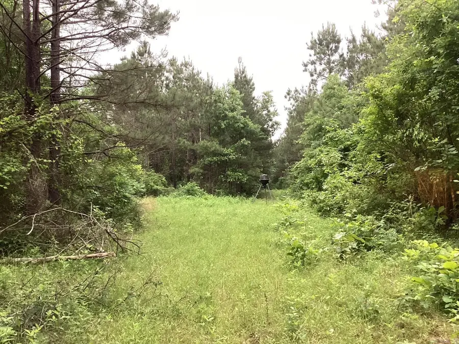 1935 Hwy 24, Prescott, AR 71857 - #3